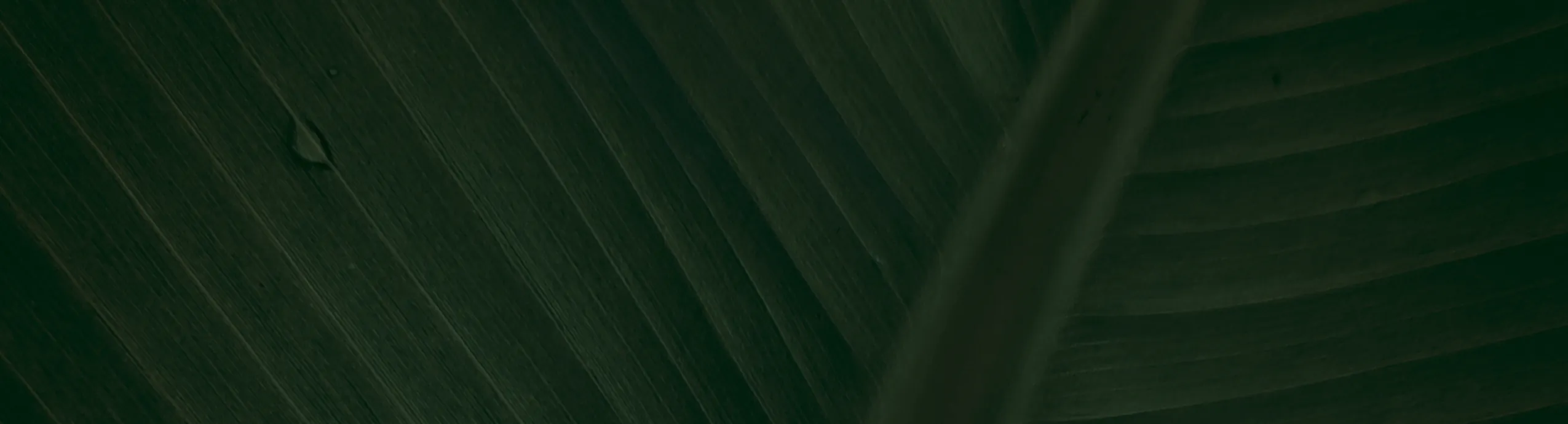 12pcs Forks And Spoons Silverware Set